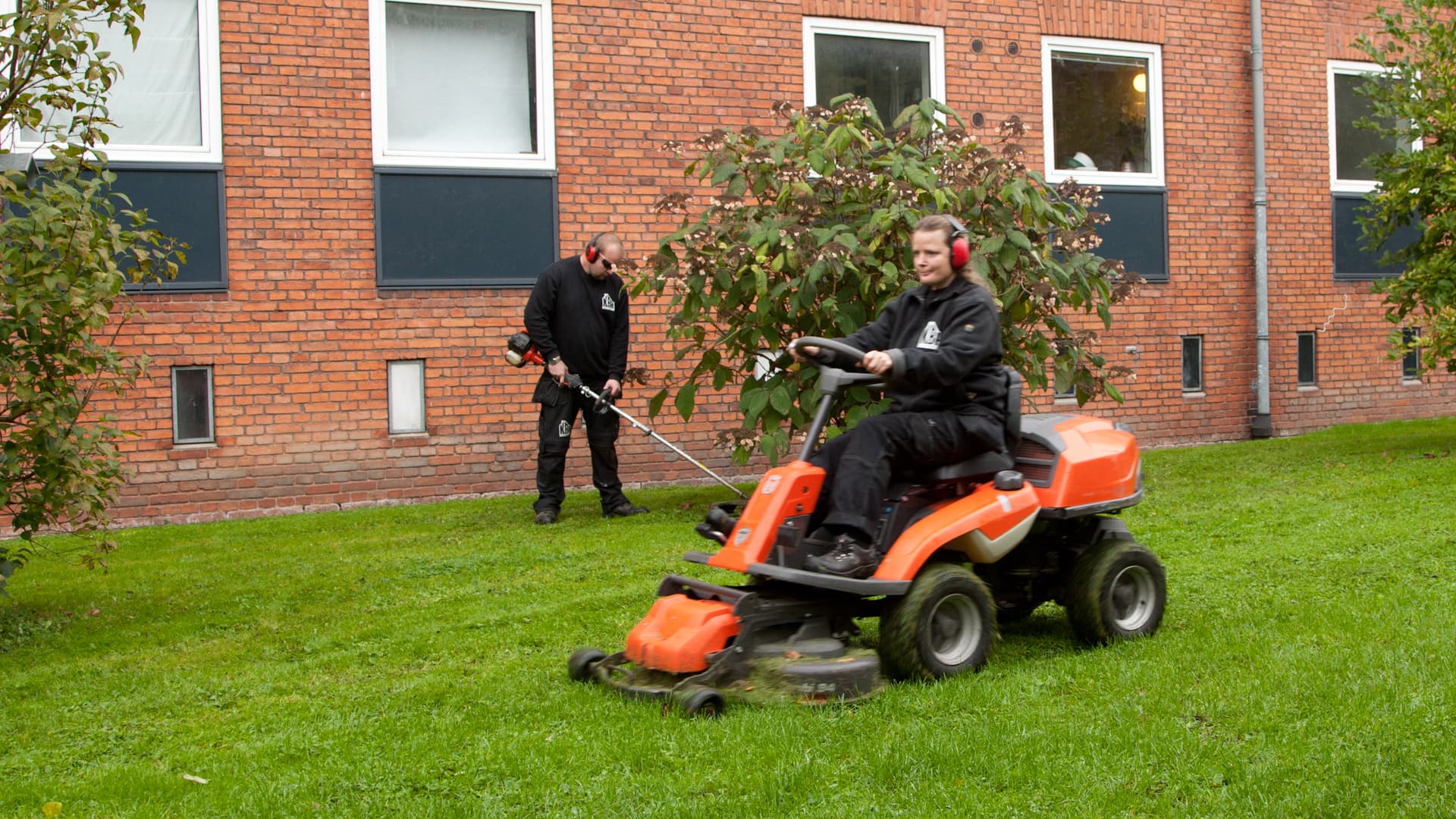 Græsslåning - billede 1