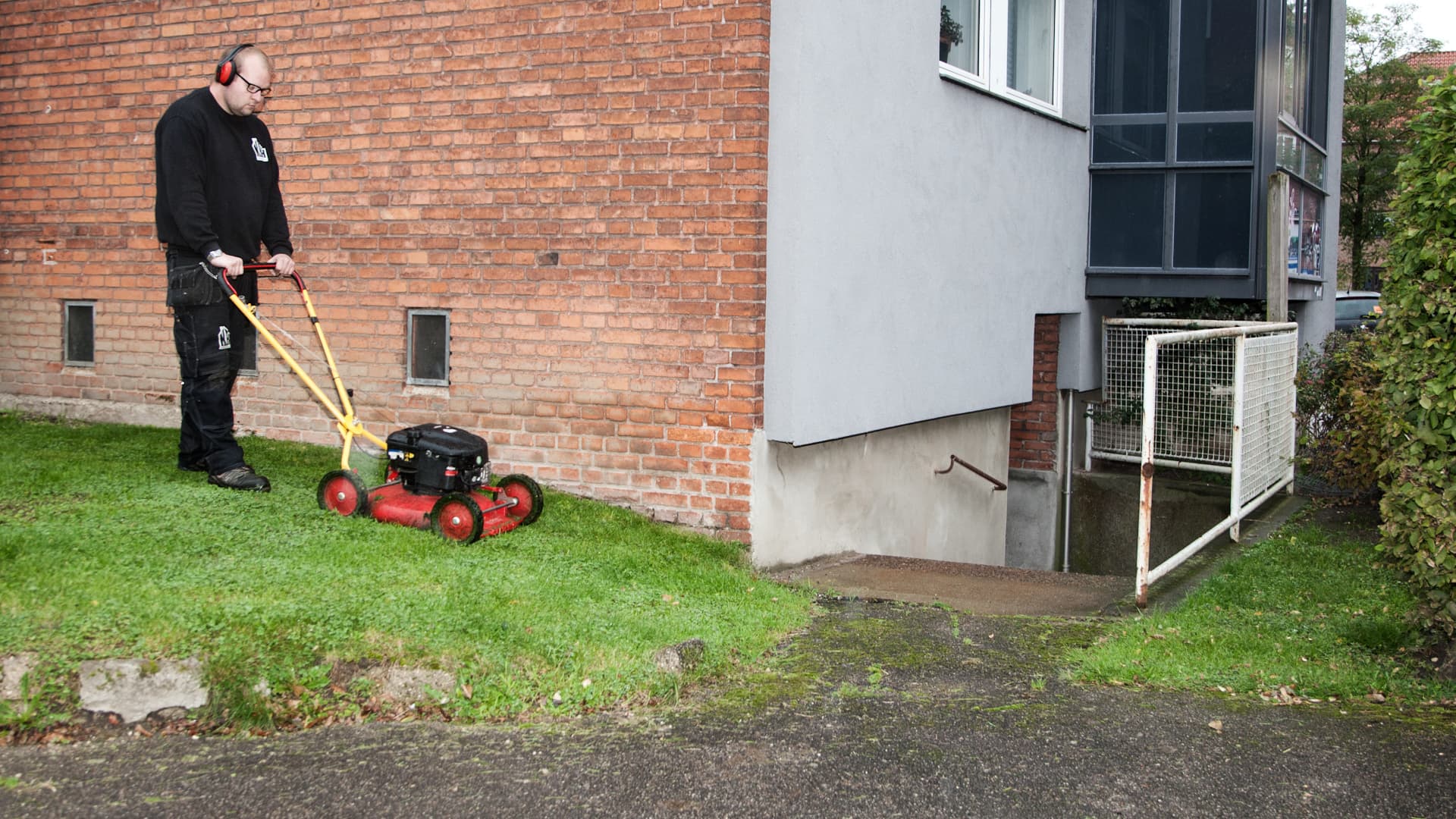 Græsslåning - billede 2